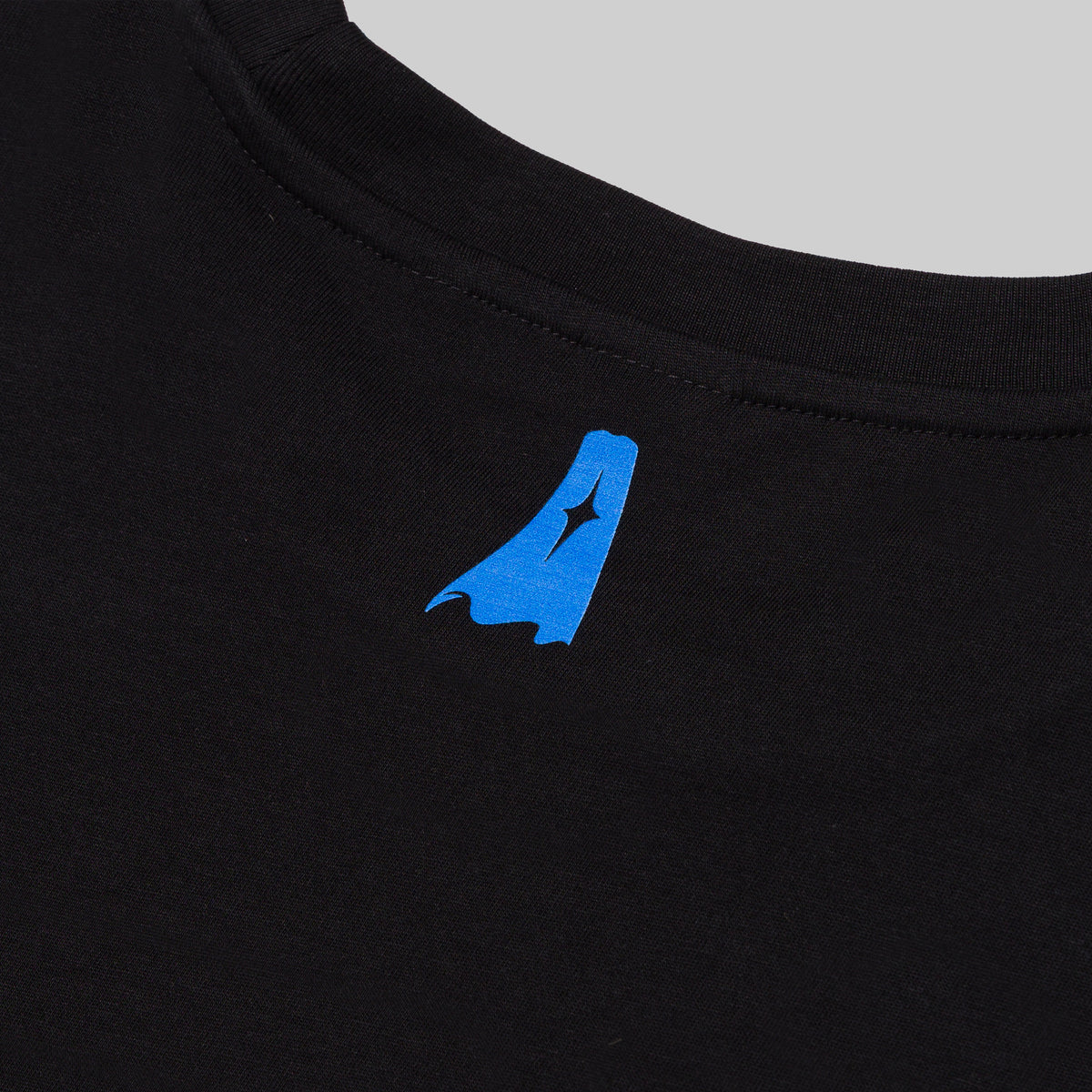 Album Art T-Shirt (Womens)
